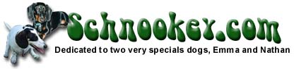 Welcome to Schnookey.com